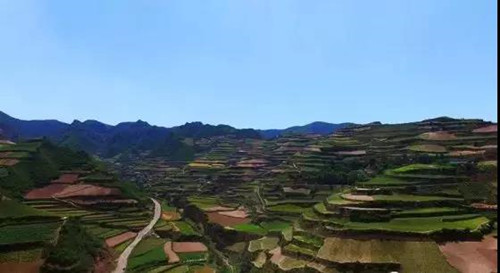 8_副本.jpg 8_副本.jpg