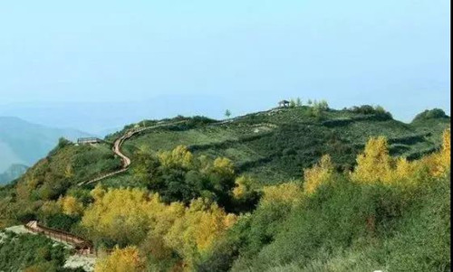 9_副本.jpg 9_副本.jpg