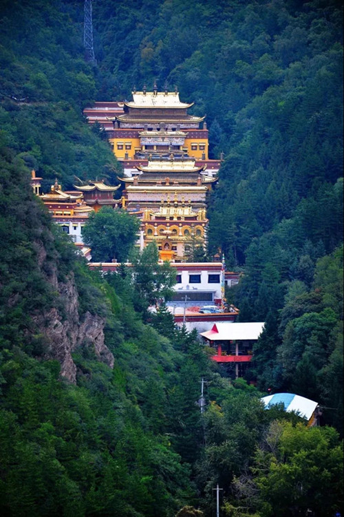 5_副本5.jpg 5_副本5.jpg